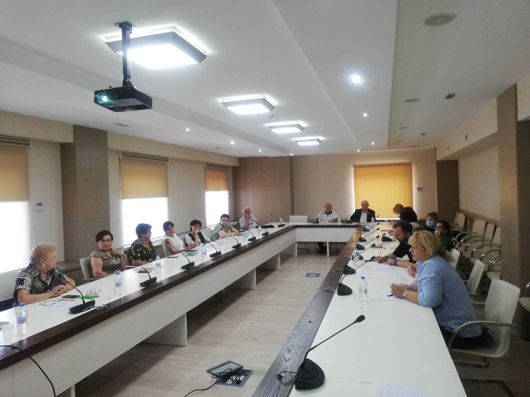 ექსპერტთა კომისიის სხდომა