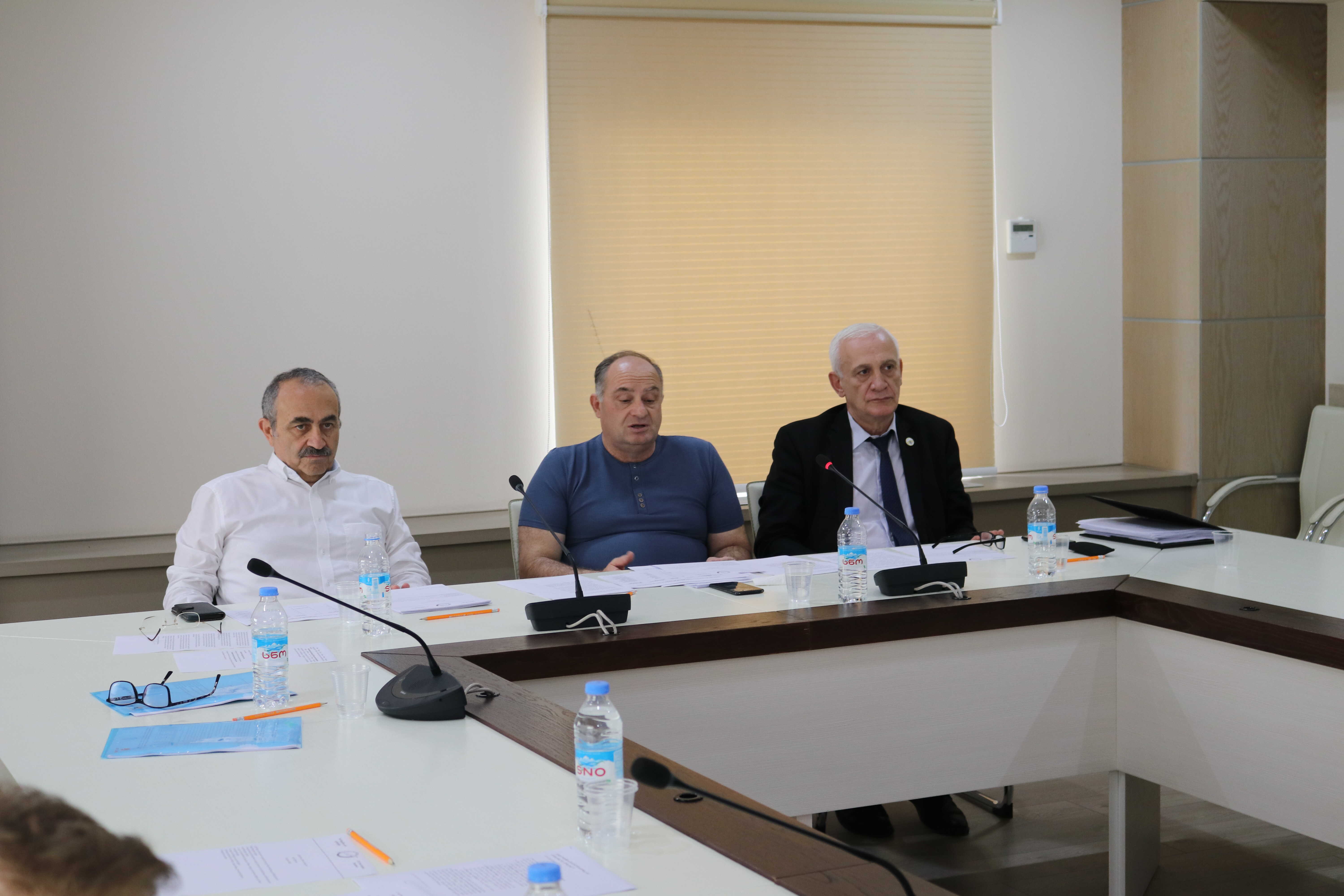 ექსპერტთა კომისიის სხდომა