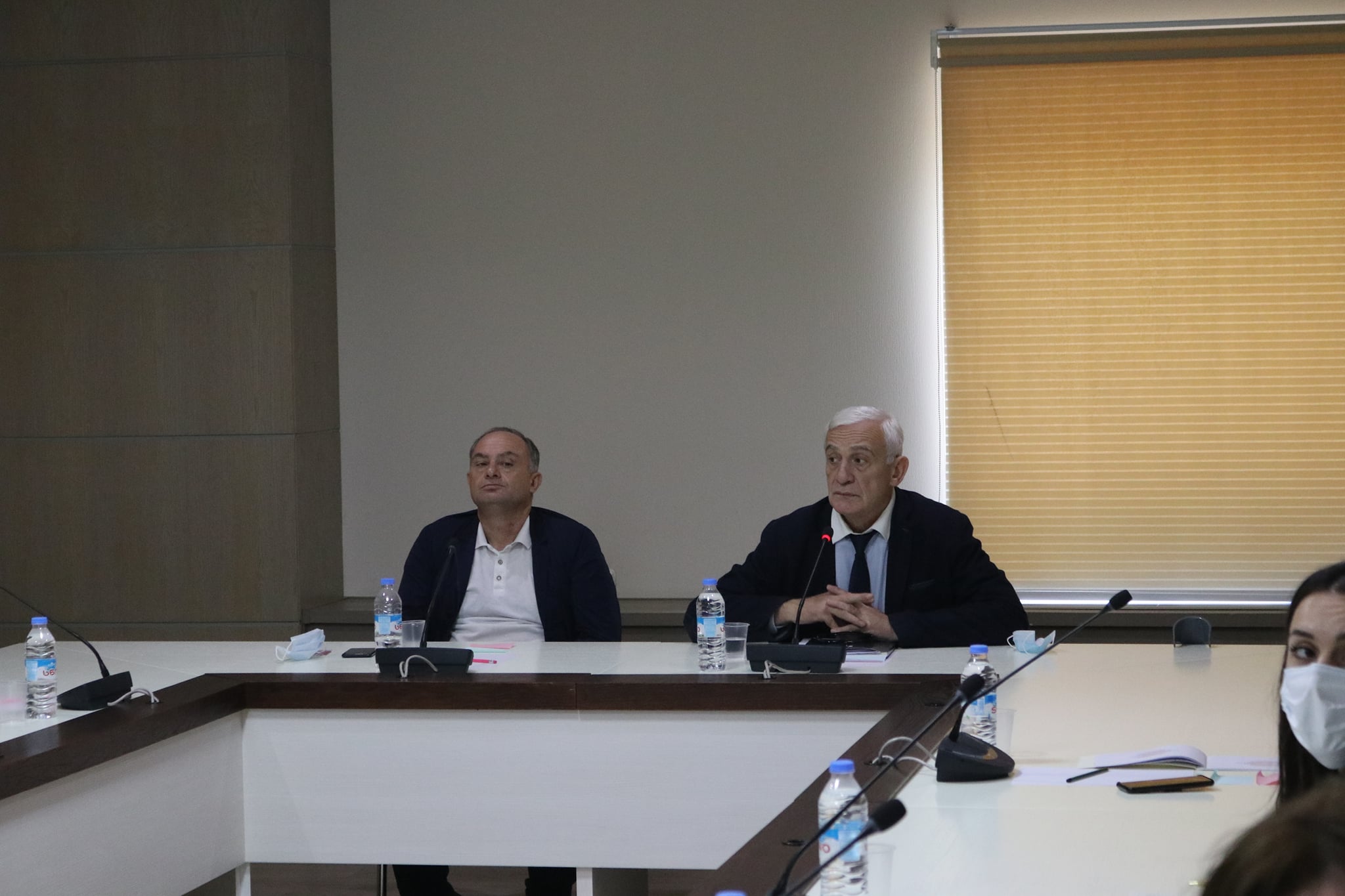 სახელმწიფო ენის ერთიანი პროგრამისა (სტრატეგიის) და სამოქმედო გეგმის შემმუშავებელი  ... 