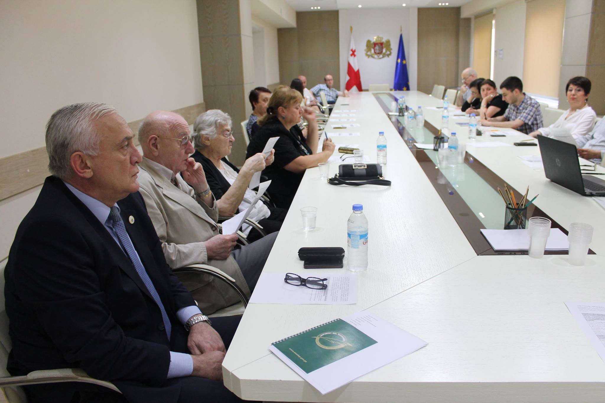 სამუშაო შეხვედრა ექსპერტთა კომისიასთან