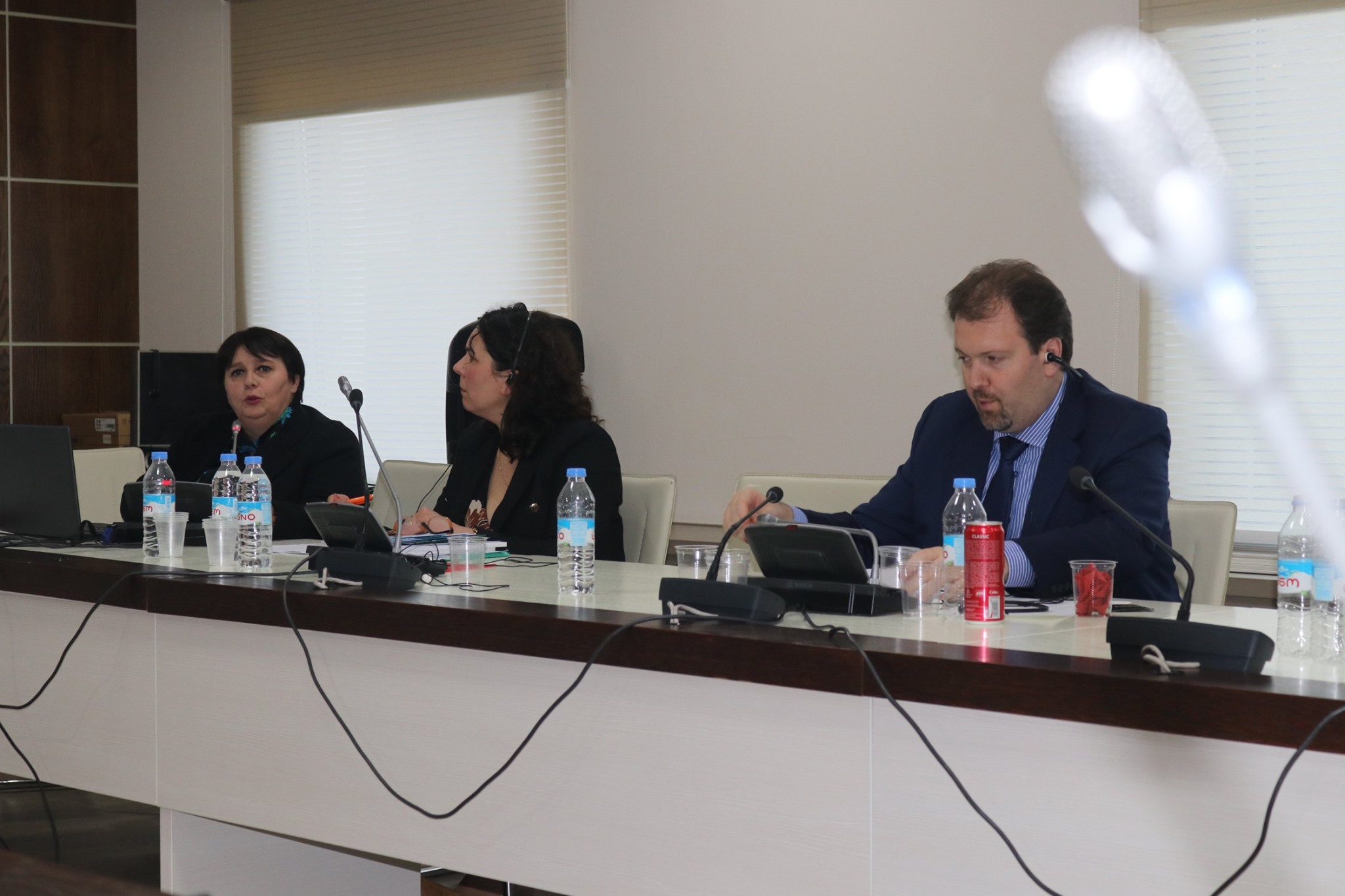 ევროპის უშიშროებისა და თანამშრომლობის ორგანიზაციის ეროვნულ უმცირესობათა საკითხების ... 