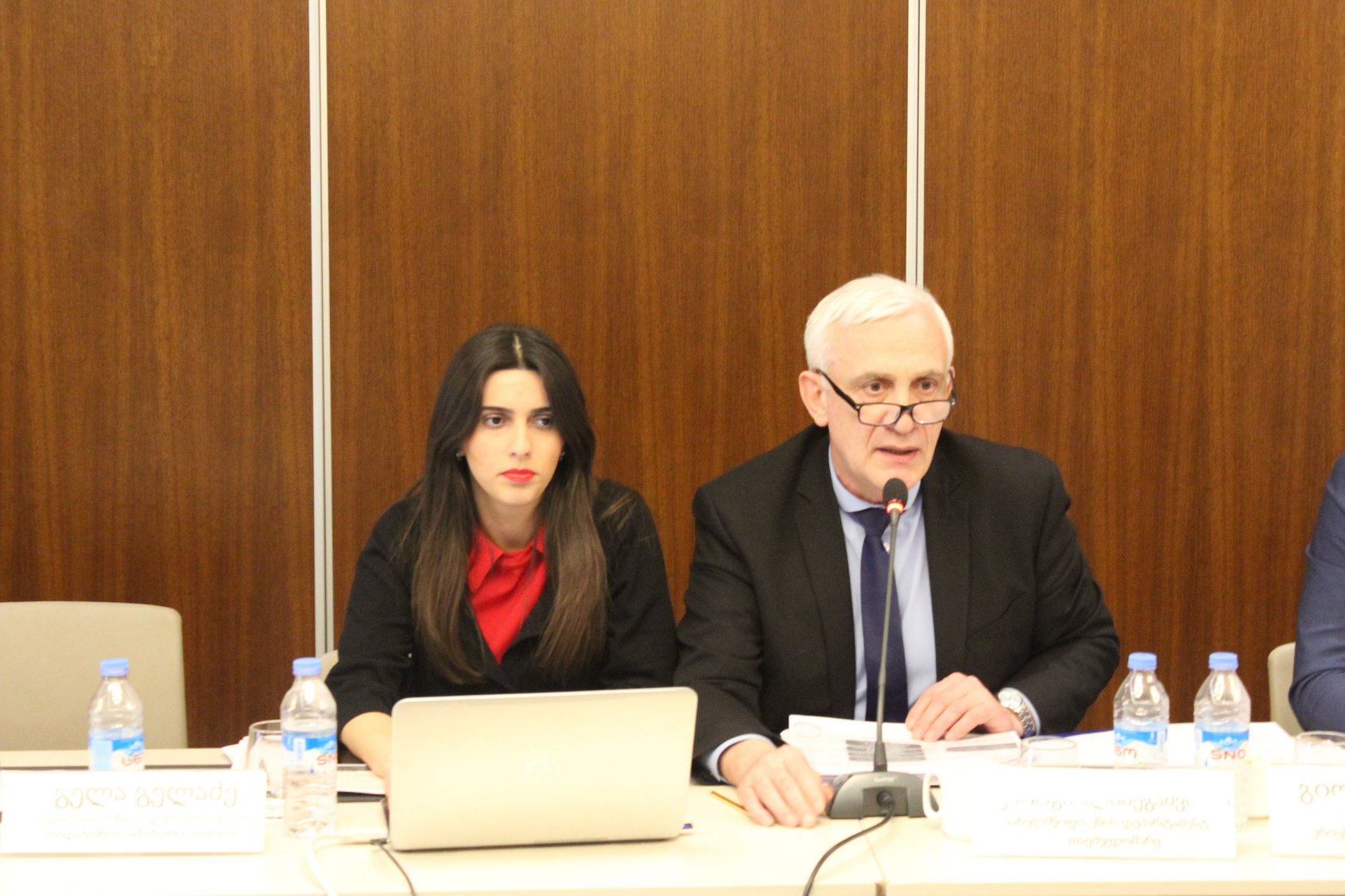 საქართველოს პარლამენტის განათლების, მეცნიერებისა და კულტურის კომიტეტის გასვლითი სხ ... 