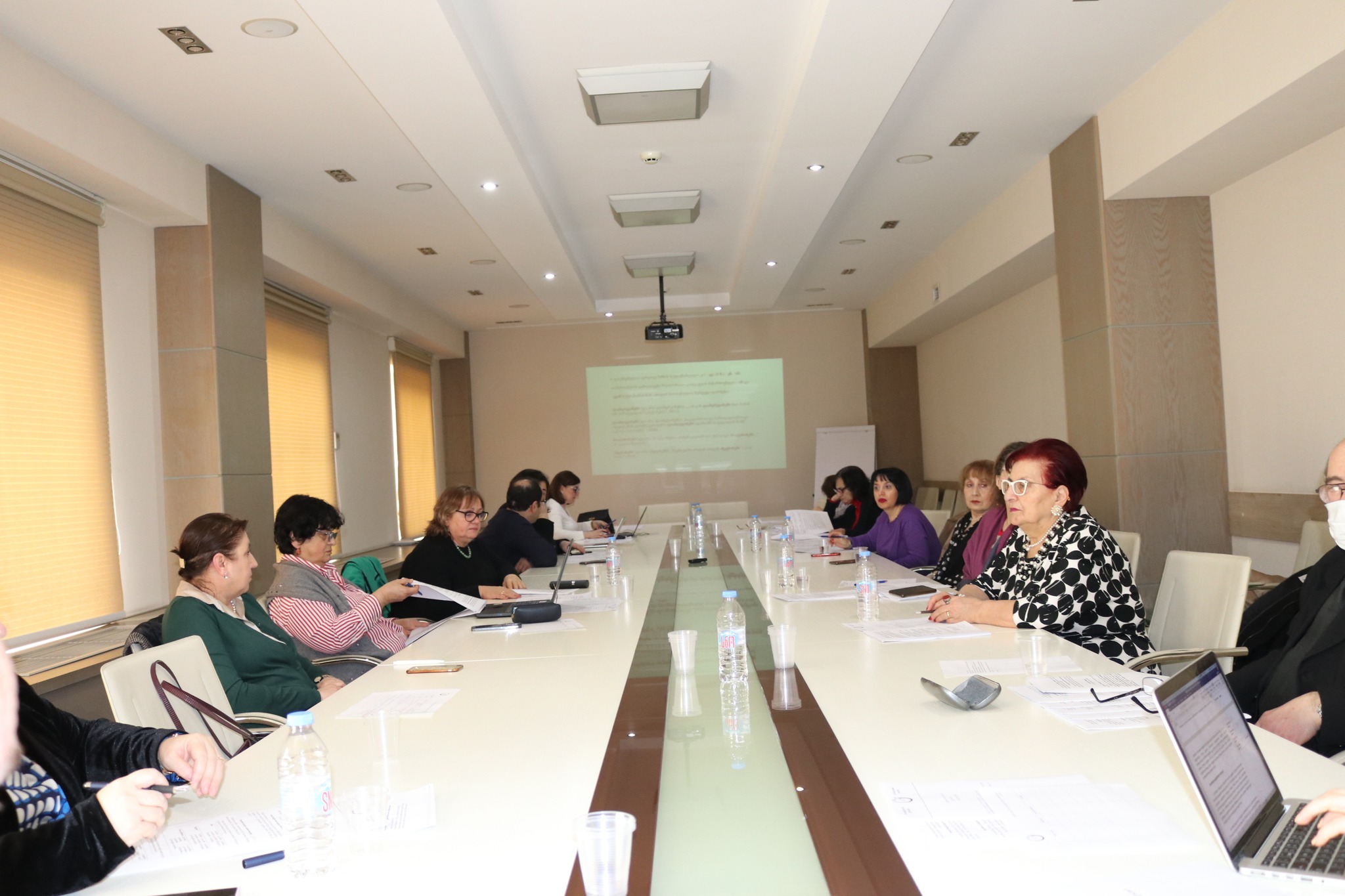 ექსპერტთა კომისიის სხდომა